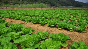 2016�����������ЙC���ИI(y��)ӭ���°l(f��)չ