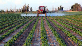 ���K�ЙC���c������ʩ�@��Ч