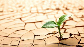 ͨ�_�ع��ЙC���O���Q�������}