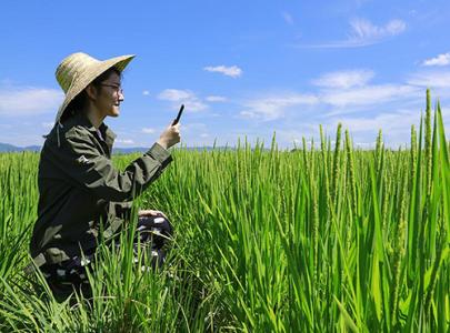 �u���мt���l ͻ���l�����c�ú��{���r�I�Y��