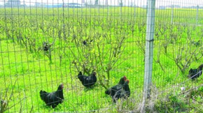 �ЙC���O��-���ݼS��ğo�������YԴ������