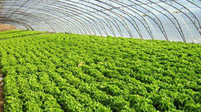 ����S��׃��ؐ���J��ѭ�h�r�I�����