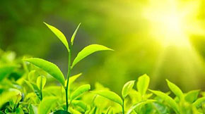 ɽ�|ʡ���P���������M�ЙC����������Єӵ�֪ͨ