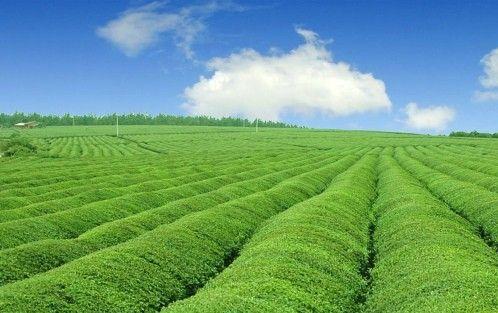 ���Cʡ���_�h�������Bѭ�h�lչģʽ������Gɫ�lչģʽ��