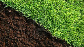 �ӱ������Bֳ��Ⱦ�����ݼS��ȥ�ă��ˣ�