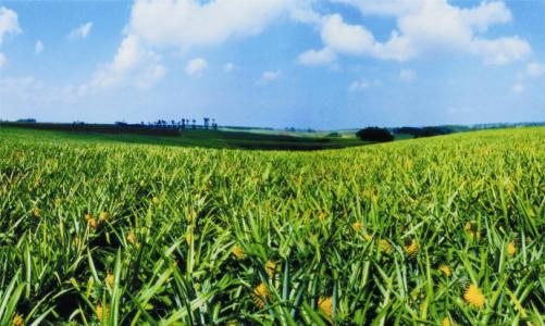 ɽ�|ʡ�R�����ԡ��廯��̽���a�I�d����·��