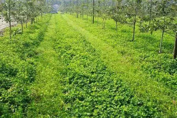 �_չ���ʜp����Ч �����r�I�Gɫ�lչ