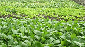 ����ʡ�����Bֳ�U�����YԴ�����ù���ȡ�÷e�O��Ч