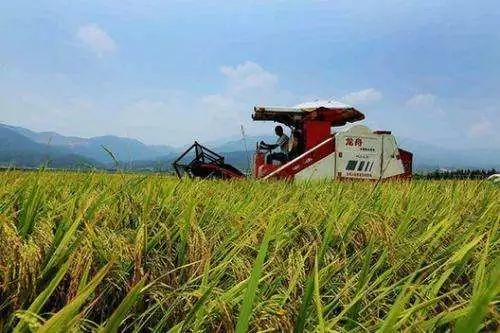 �������r�����e�����M���ݼS���YԴ�������Ŀ