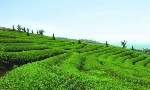 ��̶�д��M���ݷ����YԴ������