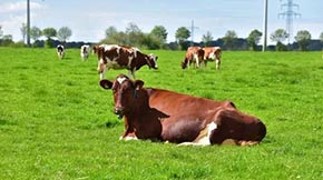 �B�d�мӿ쌍�F���ݼS�۾C��������