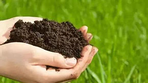 �r�I�r�岿��2021���ЙC���ИIҪ���@�����