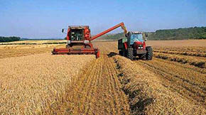 2021�����ʡ�r�Cُ���a�N��18�|Ԫ