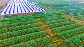 �Ͳ������ݼS��ץ���ã��������B(t��i)ѭ�h(hu��n)�r(n��ng)�I(y��)���`����