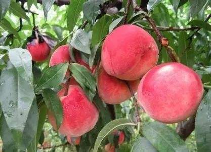 �r(n��ng)�I(y��)�����ݼS���YԴ���������M(j��n)��ʽ