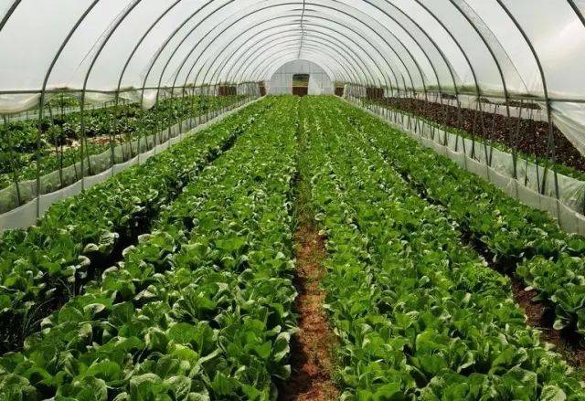 ���ϵ�ӛ�C�k��ָ��