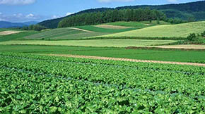 �Gɫ�l(f��)չ���I(l��ng)մ���l(xi��ng)�����d