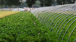 �ЙC�ʮa�I�󱬰l�����ʬF�@3��څ��