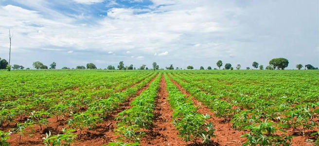 �����r(n��ng)�I(y��)���o��(c��)�ĸ���ЙC(j��)��ӭ������