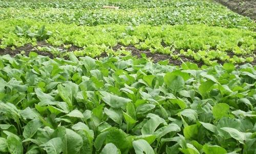 ���ݼS��̎����Դ�������ϻ������I(y��)���ɞ鷽��