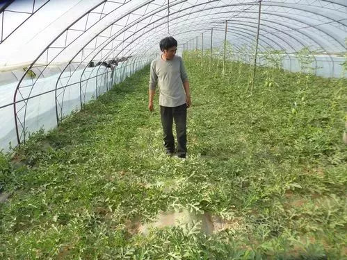 �r�I�r�岿����ֹ���ݼSֱ��߀����ȫ������������