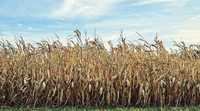 �Ĵ�ʡ��ɽ�к�����헴�ʩ �Ӵ�ն��C����������