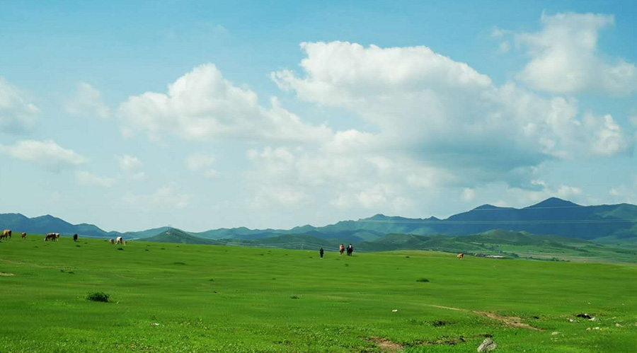 ɽ��ʡ���ƌW(xu��)ʩ�ʡ����g(sh��)�����w90������