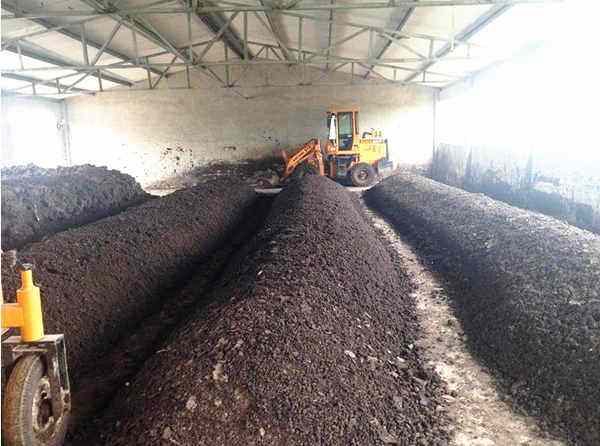 �J�����M�B(y��ng)ֳ�S�������c���ô��M�����I(y��)�����l(f��)չ