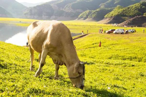 ���ݼS���YԴ�����á��ЙC��������ʵȾGɫ�Ŀ�������Ո�a�N��