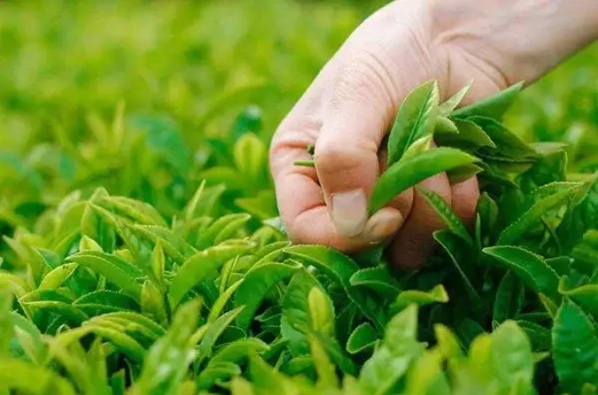 �r(n��ng)�U�w�ﻯ���� �ۼS׃���d�a(ch��n)�I(y��)