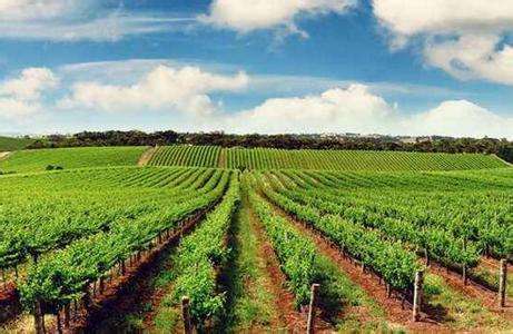 ��οƌW����ȫʩ���ЙC����