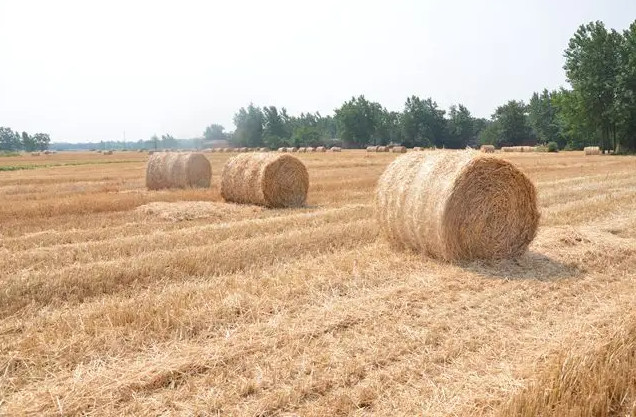 ���U�ϡ�׃�����ϡ������Gɫ�r�I�lչ