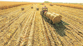 �ն���ӹ�����Gɫ�a�I�