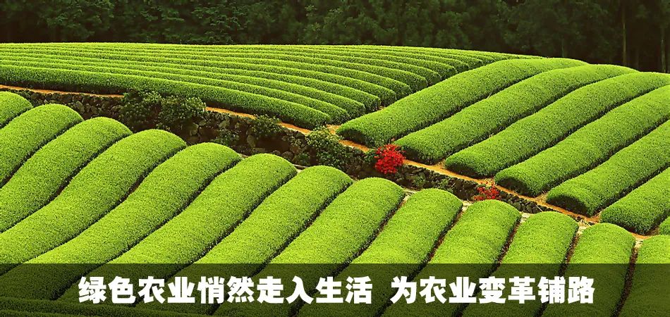 �ЙC�ʵġ�ʮ�Ć�����