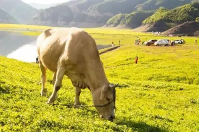 �ЙC�ʌ�������5������