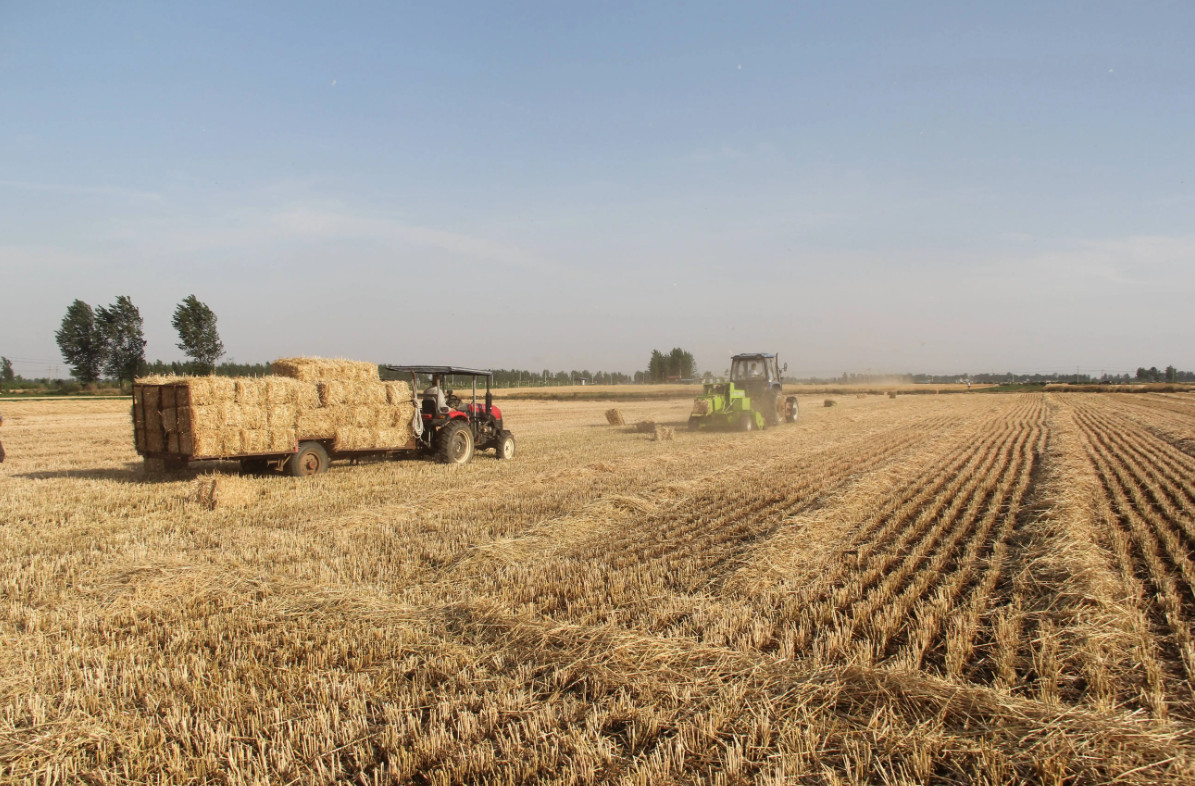 �r�I�r�岿�������m֧�ֽն��YԴ�_�l���ú�ţ���Bֳ�I��ĿƼ��аl