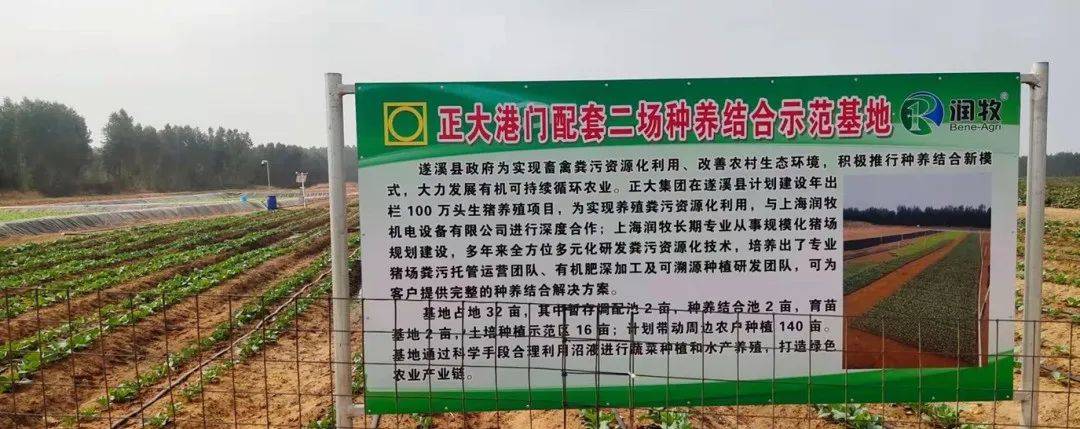 �\Մ�N�B�Y���B�i�lչģʽ