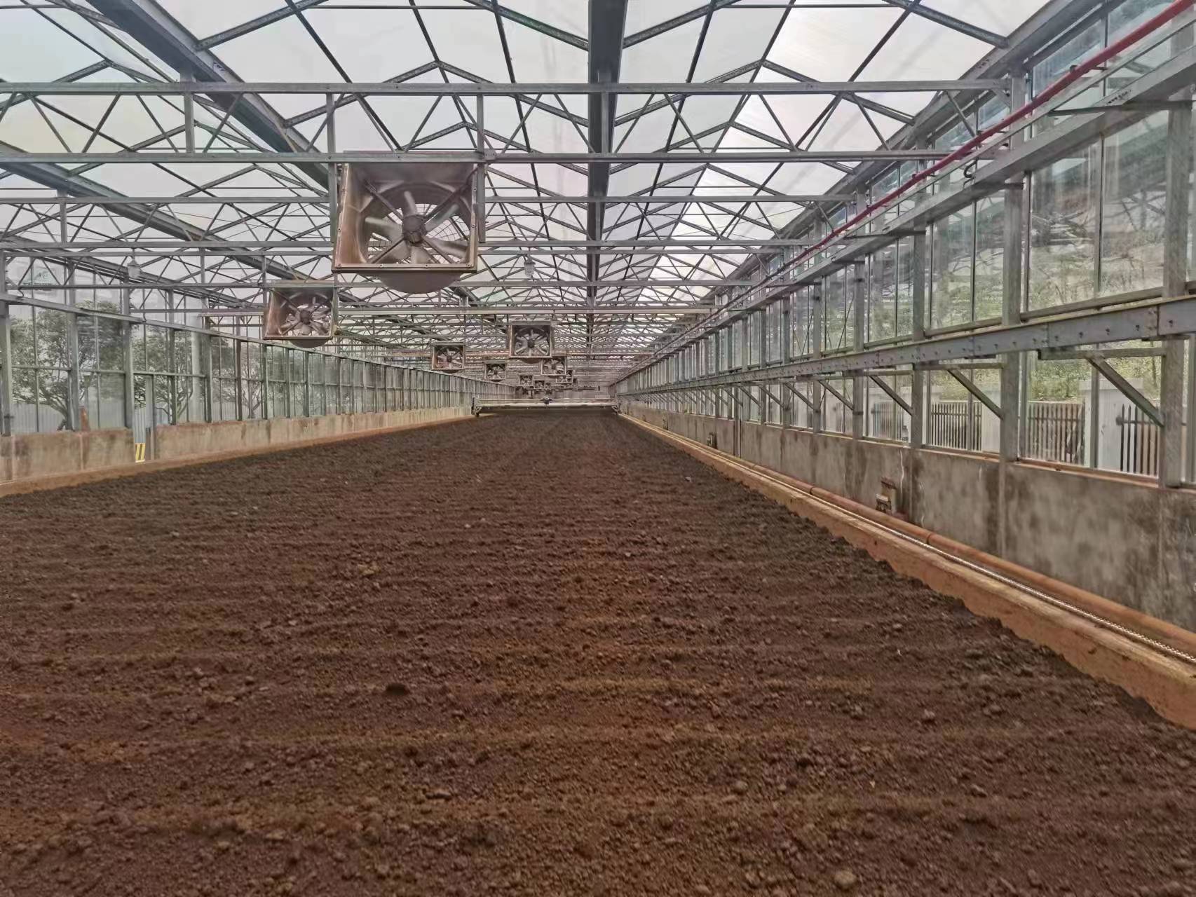 �ЙC�ʰl�͵��P�I�h������Щ��