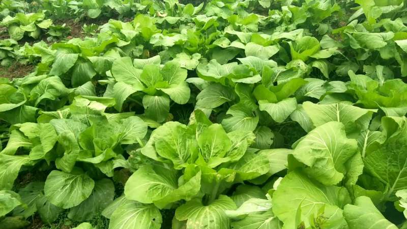 δ������ЙC��Σ����Ȼ�@ô��