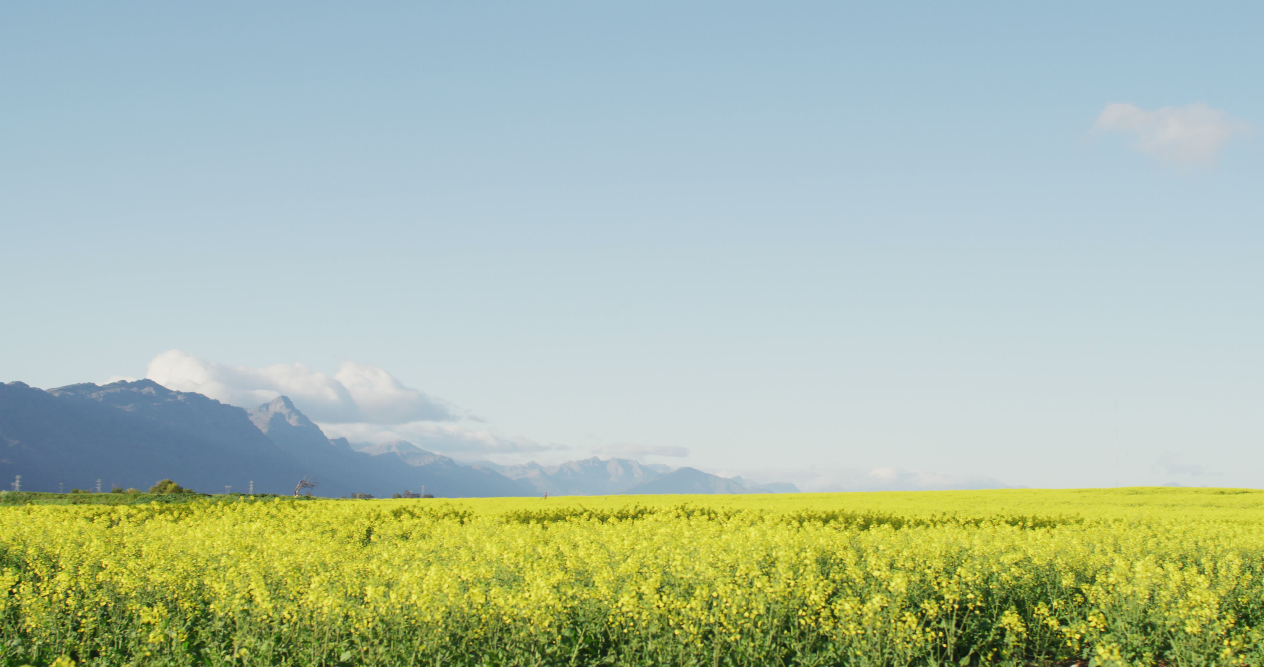 �����ЙC�ʰlչ�F�������^