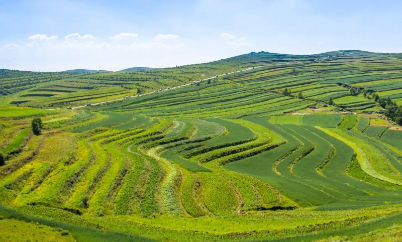 �F���~���fɽ���ݼS��׃���U���錚�����Bѭ�h�r�I�����l�����d