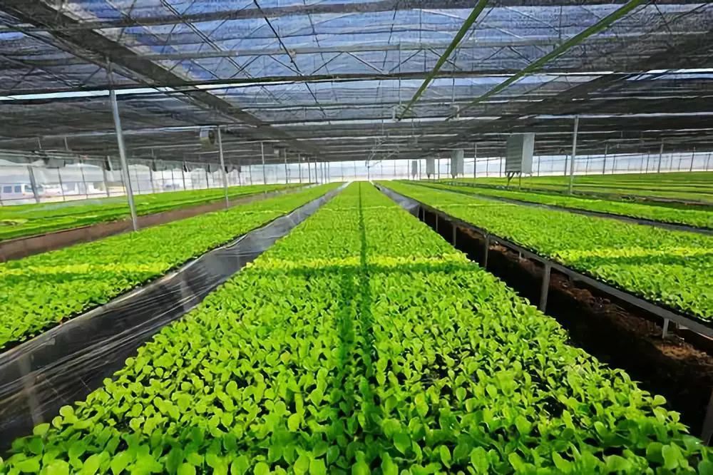 �ຣ�������a��ɣ��ЙC��ʩ����e�_300�f��