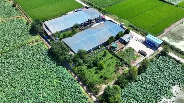 �������꣺���ݼS�۟o����̎���������r��p����Ⱦ