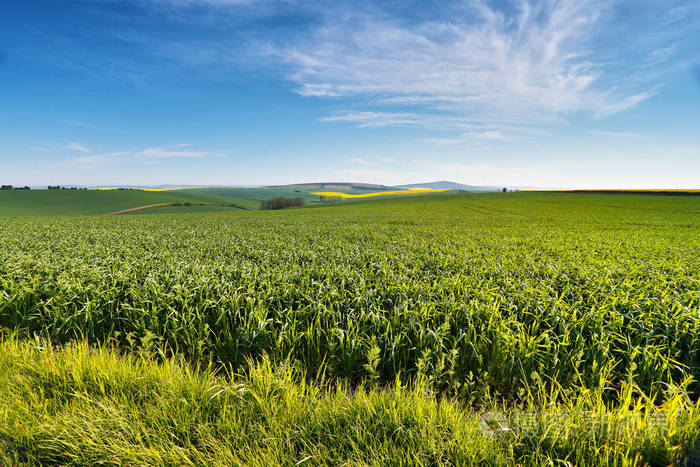 �N�B��Y�� �ͮa׃�߮a