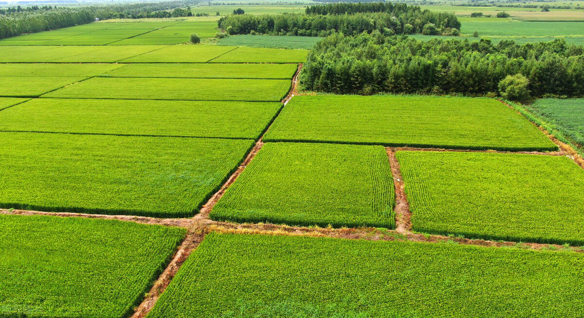 ��Ч�����ա����G������r�I�Gɫ�lչ��Ч�@��