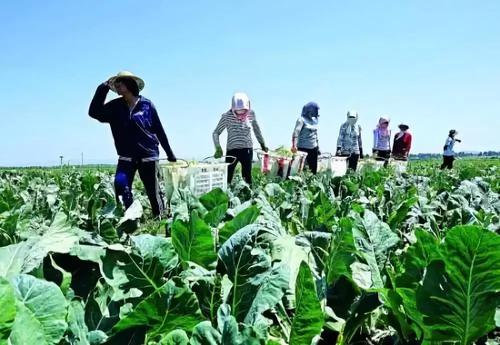 ���Mһ�����_���ݼS��߀������Ҫ�󏊻��Bֳ��Ⱦ�O�ܵ�֪ͨ