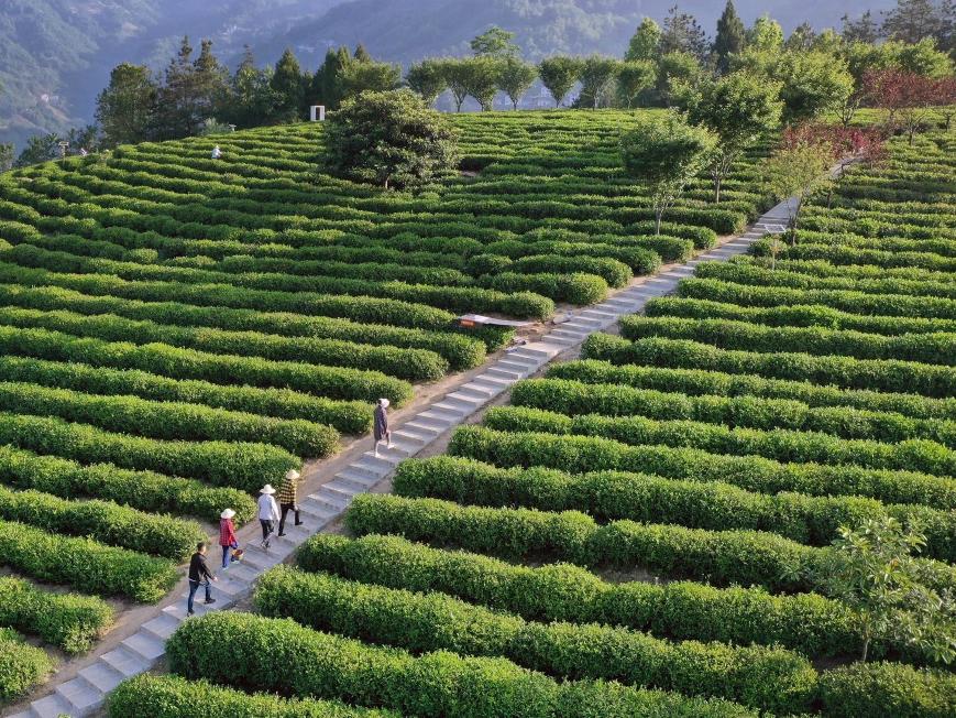 �P�ڳ��m���M���ݼS���YԴ�����ø���ˮƽ���ϼZʳ��ȫ�Ľ��h