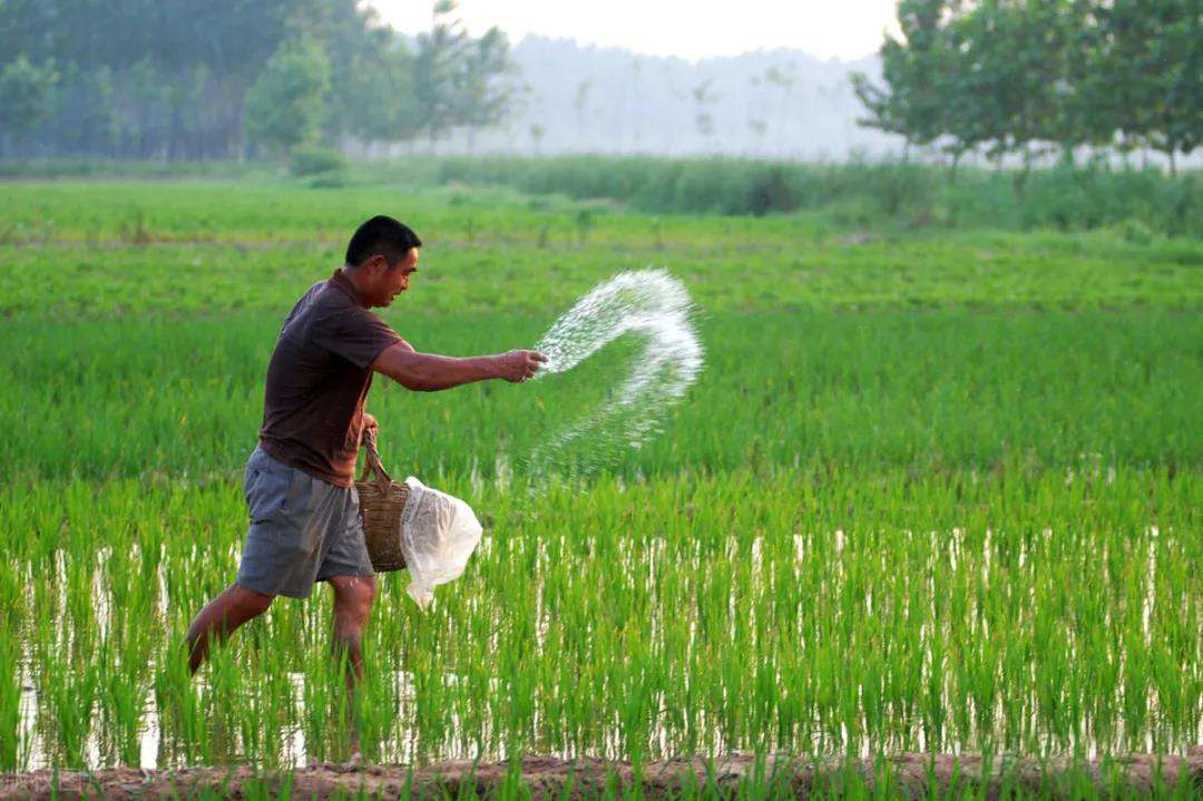 ��Ч�����ա����G������r�I�Gɫ�lչ��Ч�@��