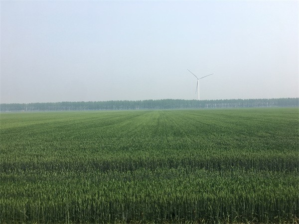 �r�I�r�岿���P�ڳ��m���M���ݼS���YԴ�����ø���ˮƽ���ϼZʳ��ȫ�Ľ��h����