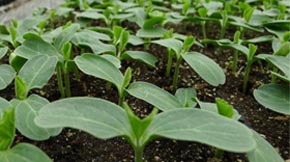 �ЙC(j��)����ʵ�����